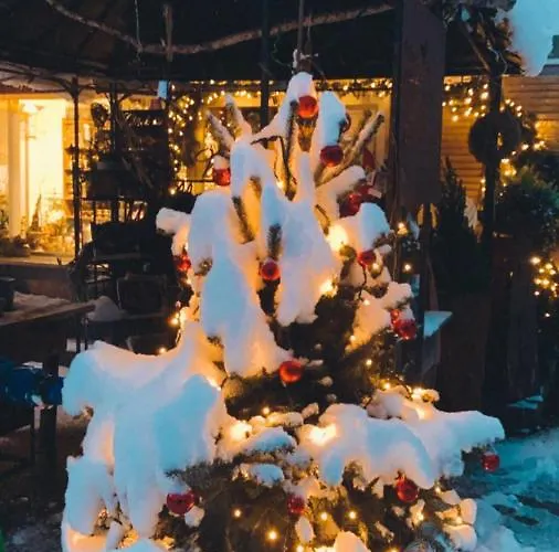 公寓 Felsenheim 韦斯滕多夫