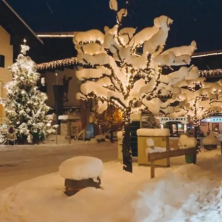 Felsenheim アパート *